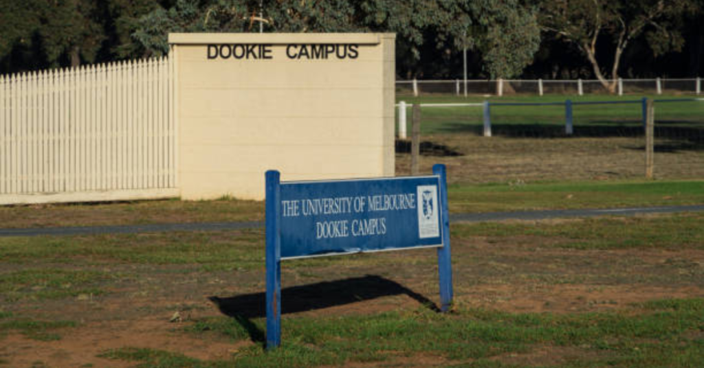 University of Melbourne